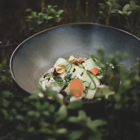 Aurora Igloo, Sauna & Dinner By Invisible Forest Adults Only ロヴァニエミ