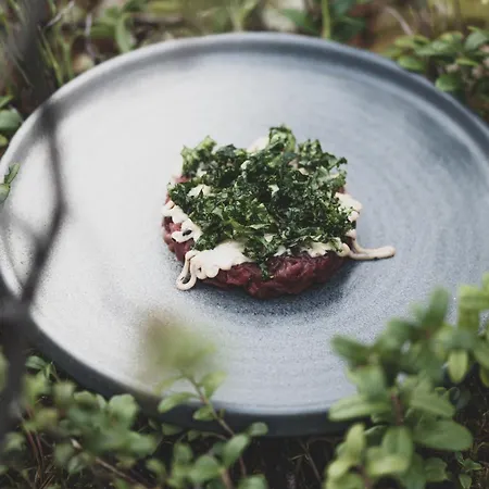 Aurora Igloo, Sauna & Dinner By Invisible Forest Adults Only מלון *