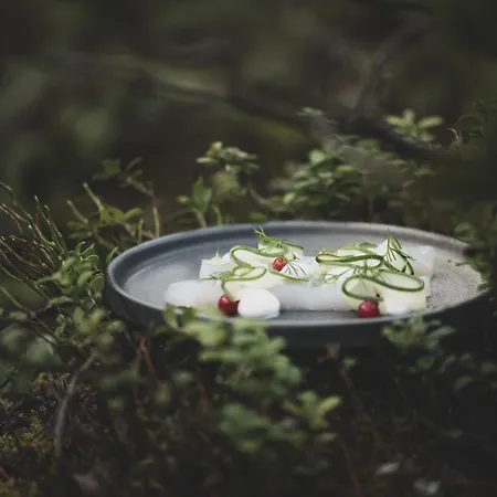 Aurora Igloo, Sauna & Dinner By Invisible Forest Adults Only *