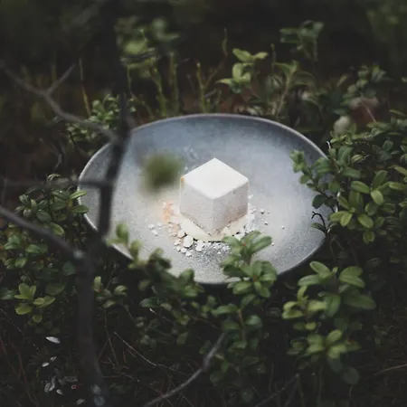 Aurora Igloo, Sauna & Dinner By Invisible Forest Adults Only ホテル *
