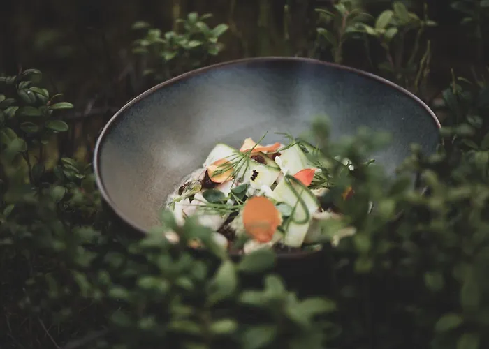 Aurora Igloo, Sauna & Dinner By Invisible Forest Adults Only Rovaniemi