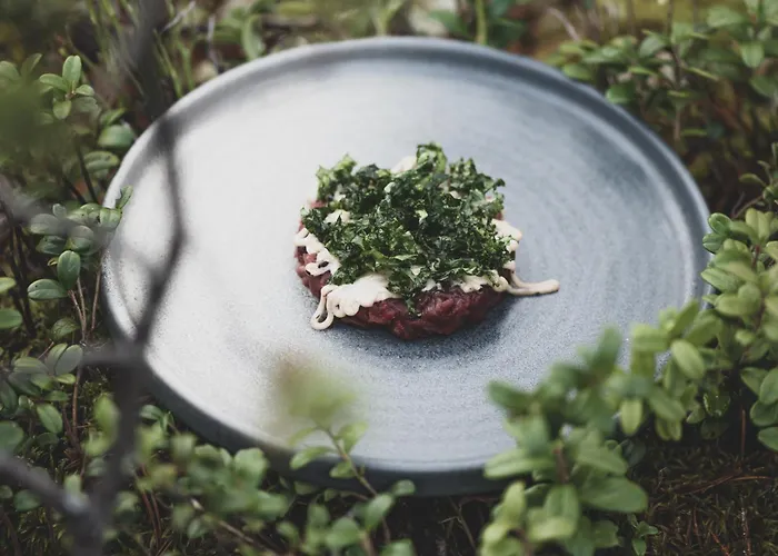 Aurora Igloo, Sauna & Dinner By Invisible Forest Adults Only Hotel *